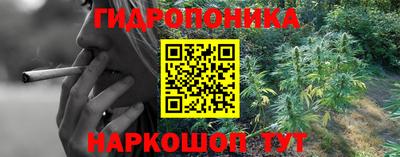 таблы Бийск