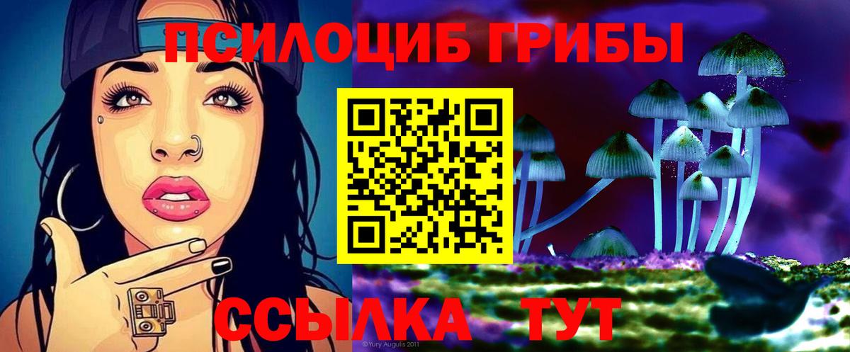 Псилоцибиновые грибы Cubensis Киселёвск