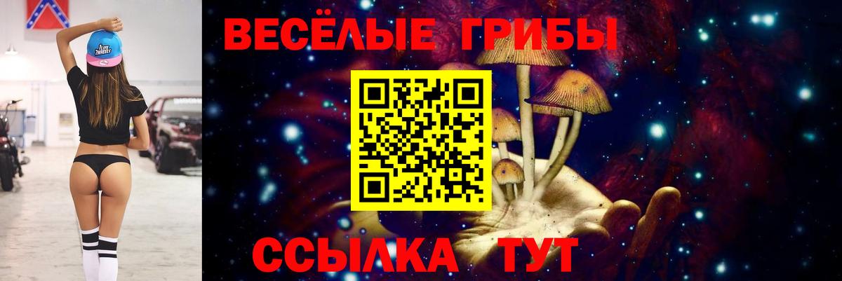 Киселёвск  Псилоцибиновые грибы прущие грибы  Вход с VPN  сколько стоит  Галлюциногенные грибы ЛСД 